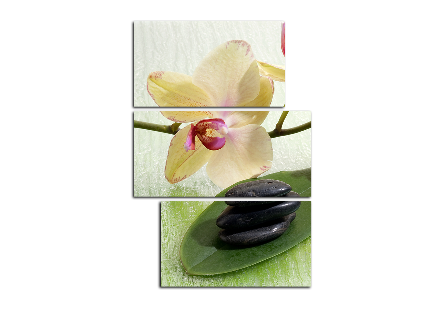 Obraz na plátně - Květy orchideje - obdélník Obraz na plátně - Květy orchideje - obdélník